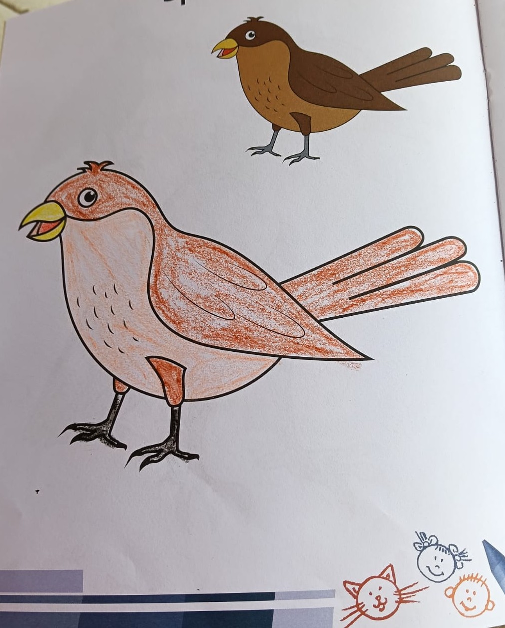 whatsapp image 2025 09 09 at 11.51.54 am (1)